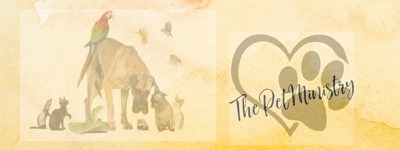 Pet Ministry Logo