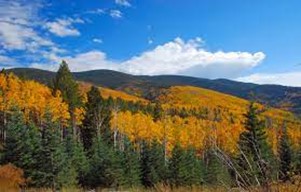 A picture containing sky, mountain, grass, plantDescription automatically generated