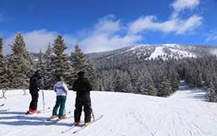 People skiing on the snowDescription automatically generated with medium confidence